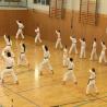 images/karate/Training mit Julian Chees/traing_mit_julian_chees_10_20161022_1130230533.jpg